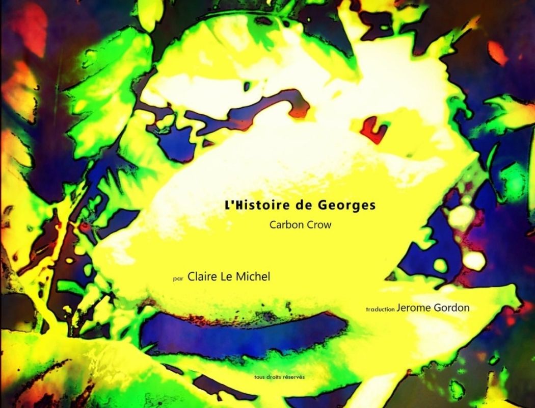 L'Histoire de Georges - Claire Le Michel