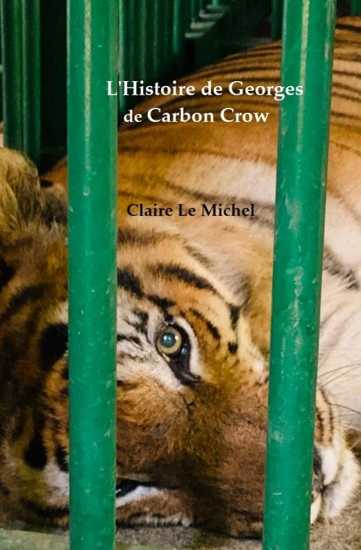 Carbon Crow - L'Histoire de Georges